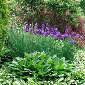 Meet your Posher, Gary